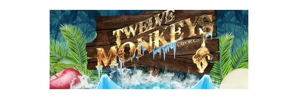 Twelve Monkeys
