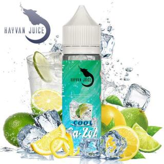 Hayvan Juice Aroma - Cool Gazoz