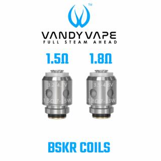 Vandyvape BSKR Coils - MTL Verdampfer