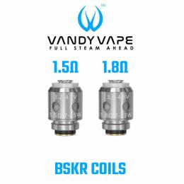 Vandyvape BSKR Coils - MTL Verdampfer