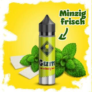 Bang Juice Aroma - GUM Kaugummi Minzig Longfill
