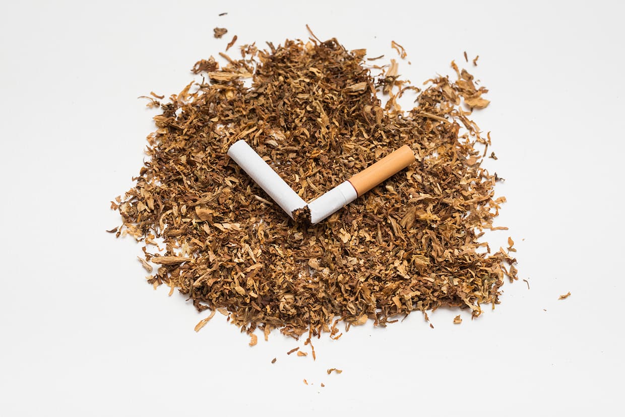 Eine in der Mitte durchgebrochene Zigarette liegt auf einer Fläche aus Tabak