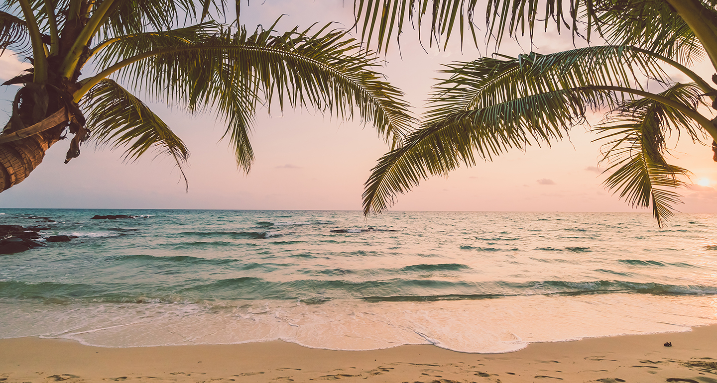 Meer und Strand mittig durch zwei Palmen fotografiert